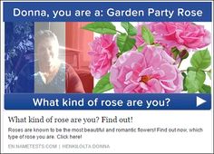 SCARICA NAMETESTS
